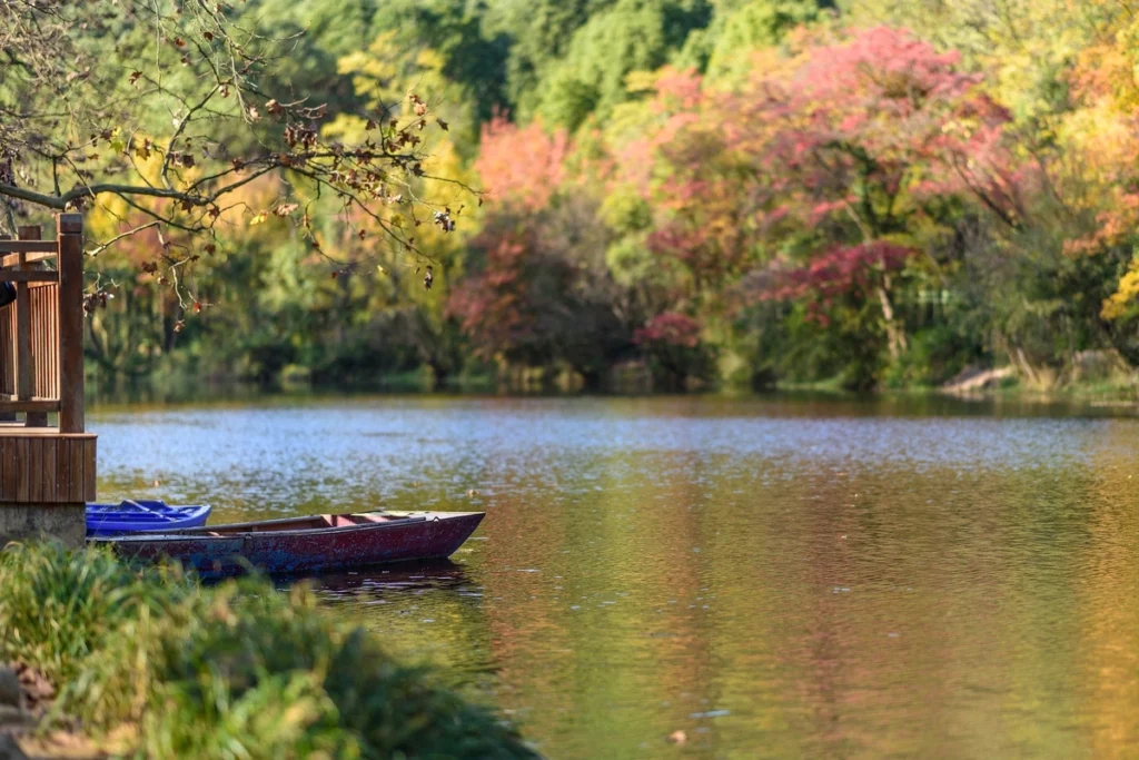 A small ferryboat is moored along a riverside lush with vibrant green summer foliage.