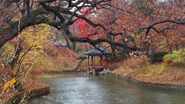 Changdeokgung Huwon Autumn