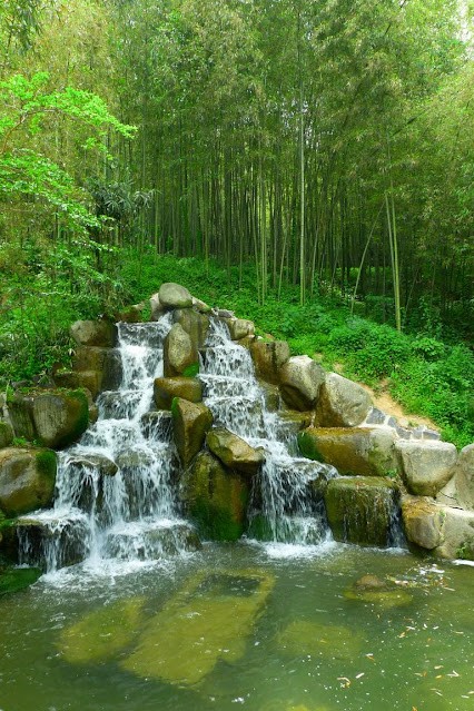 Juknokwon bamboo forests, Damyang, Korea