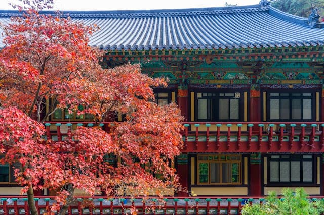 Maple Tree and Pavilion, Autumn Temple - Guinsa, Danyang