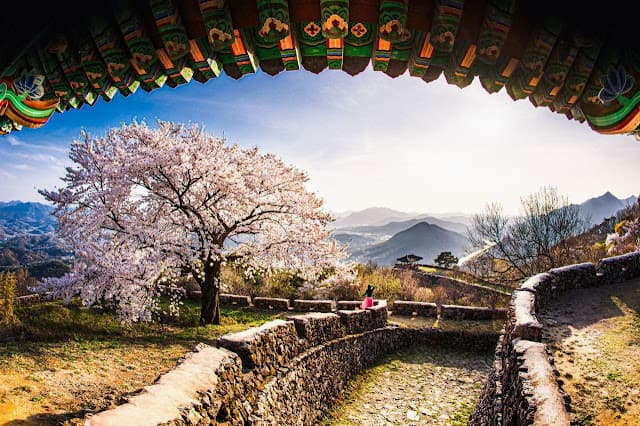 Spring in Korea, Geumseong Fortress, Damyang, Jeollanam-do